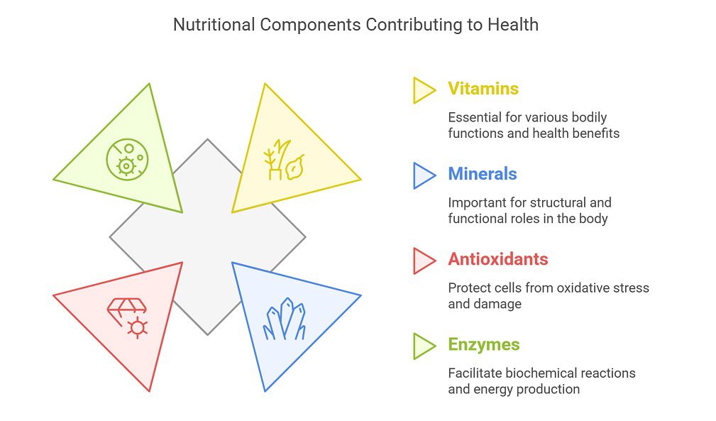 Nutritional Benefits of Fresh Wheatgrass